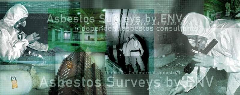 Main image for ENV Surveys Ltd
